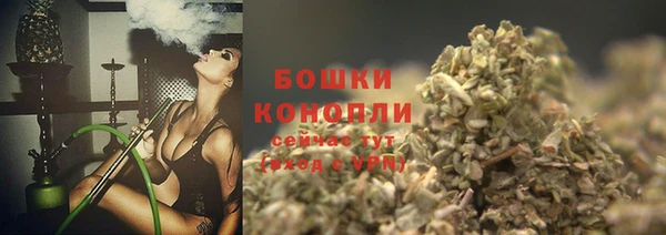 a pvp Бородино
