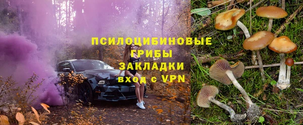 a pvp Бородино