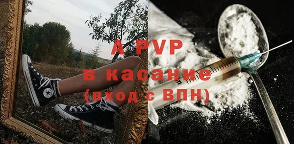 a pvp Бородино