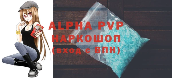 a pvp Бородино