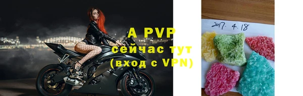 a pvp Бородино