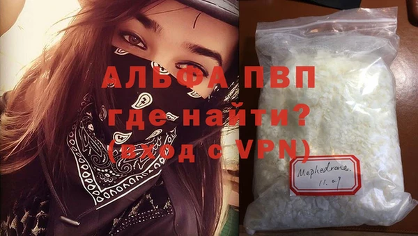 a pvp Бородино