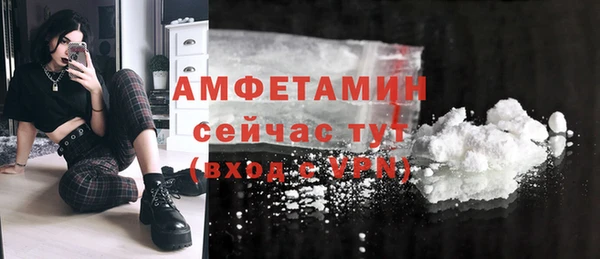 a pvp Бородино